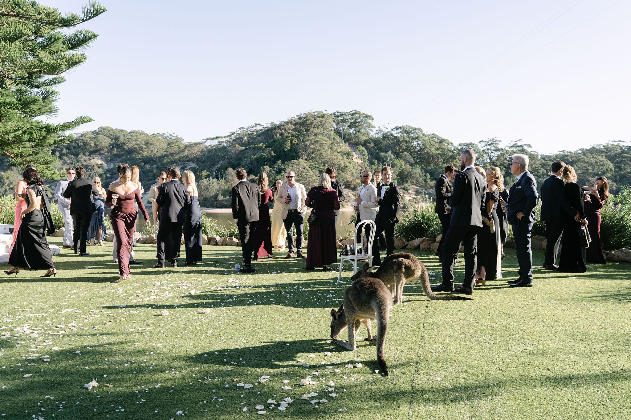 Callum & Emma wedding at The Cove