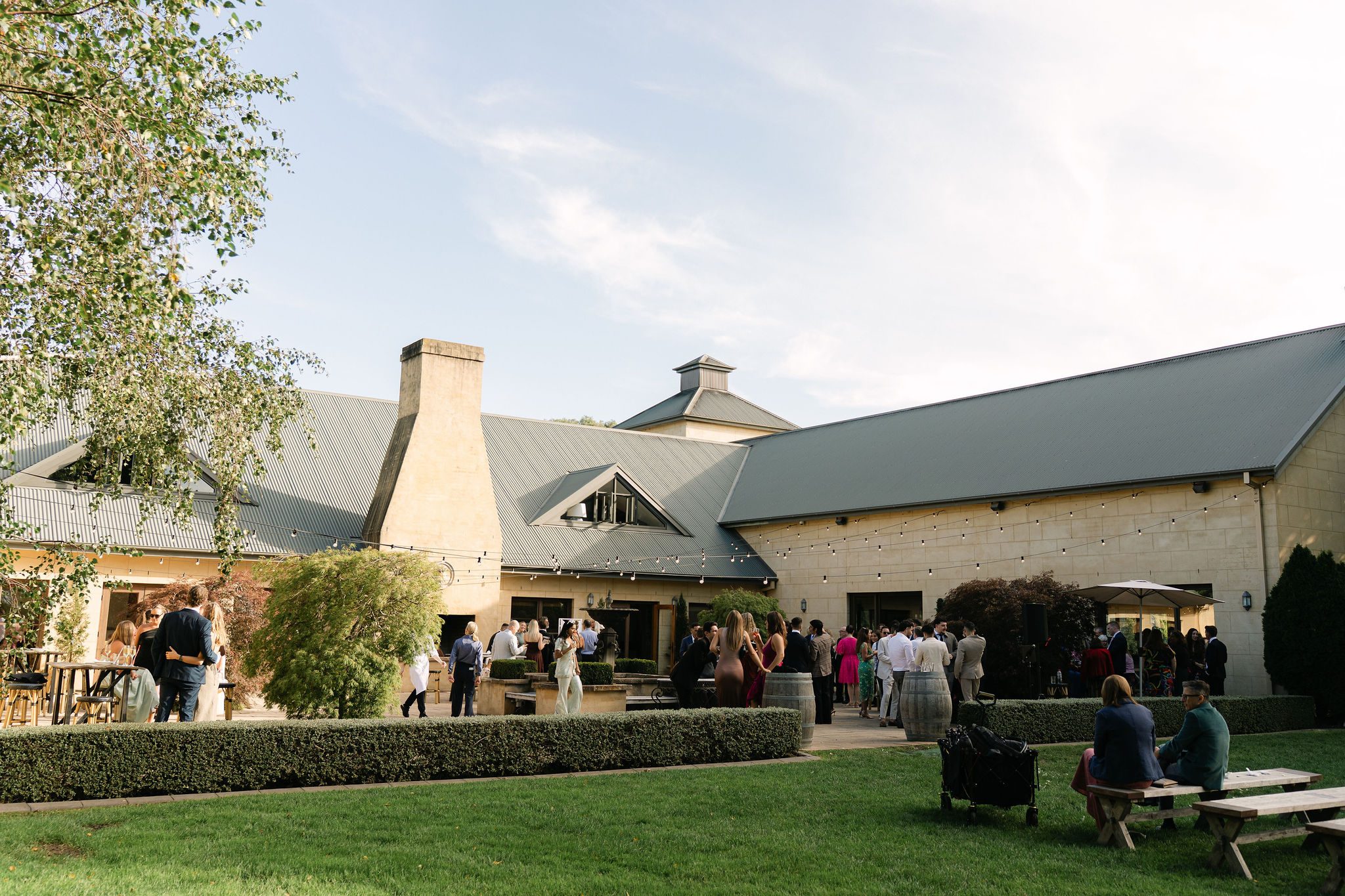 Connor & Elana wedding at Centennial Vineyards
