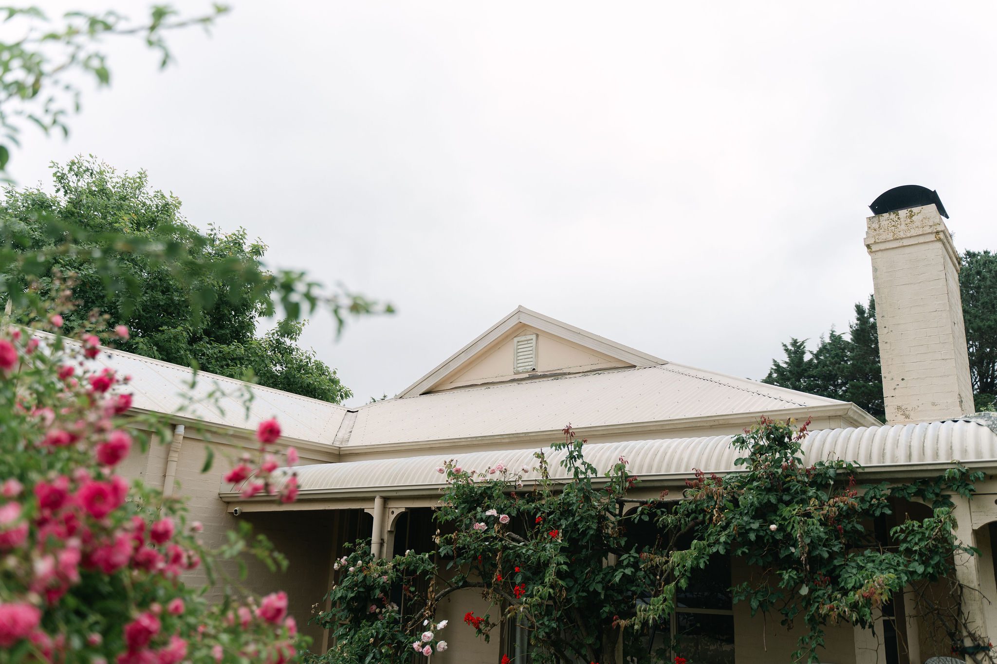 Ned & Maddie wedding at Montrose House