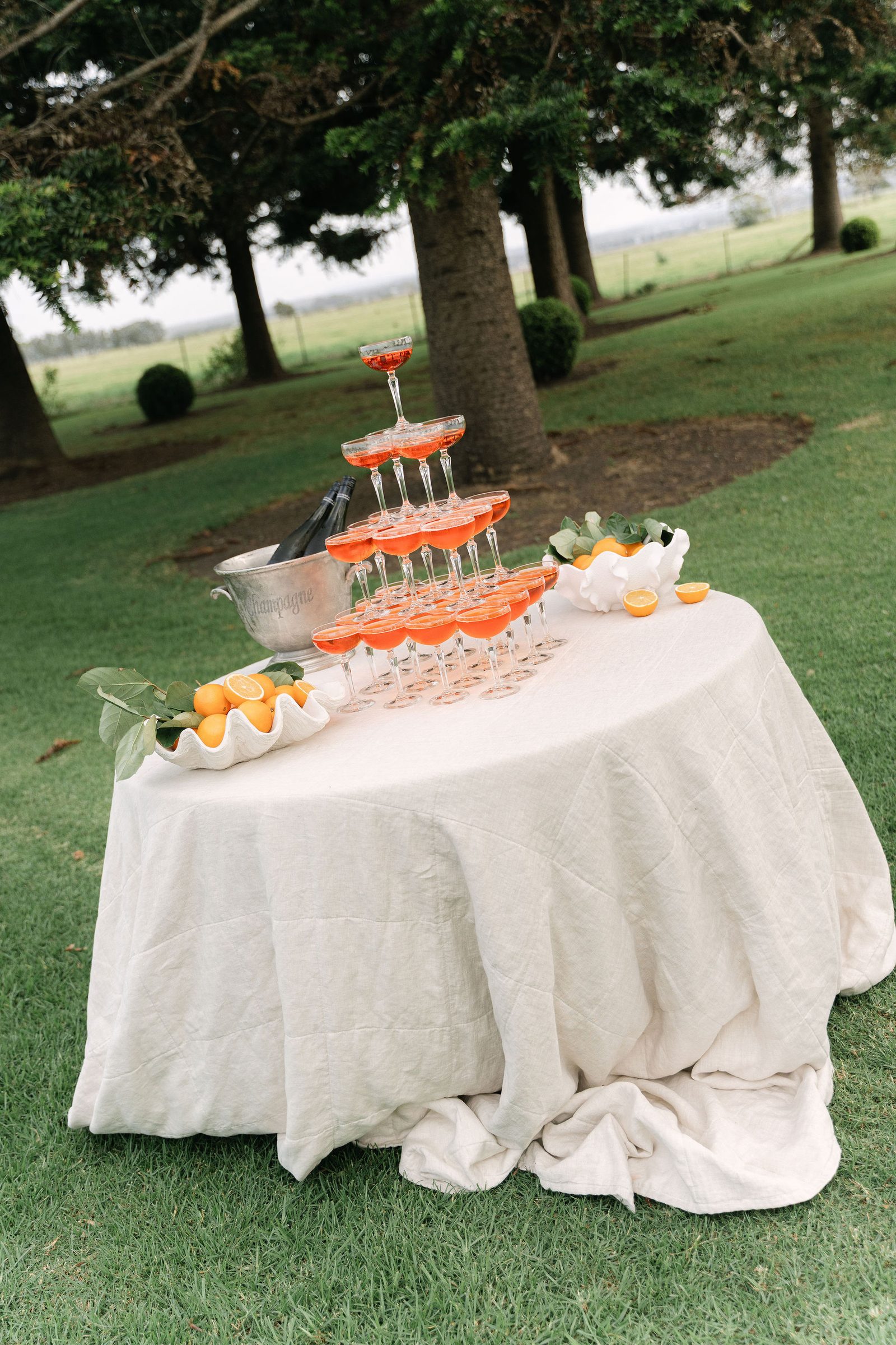 Taran & Alex wedding at The Merribee