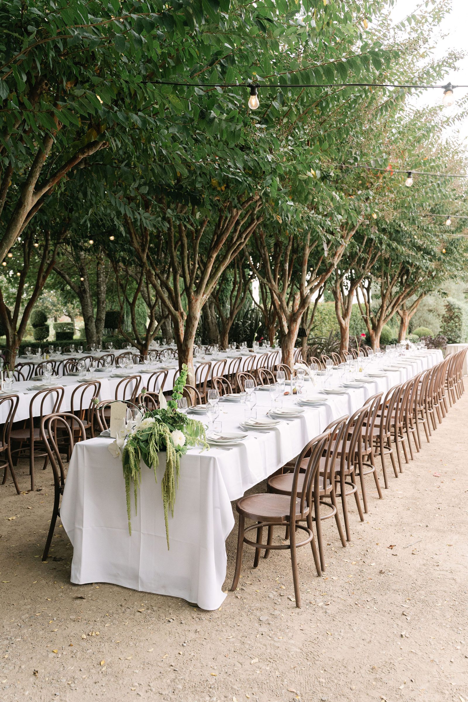 Taran & Alex wedding at The Merribee
